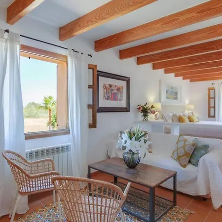 Finca Pintxito Holiday home *